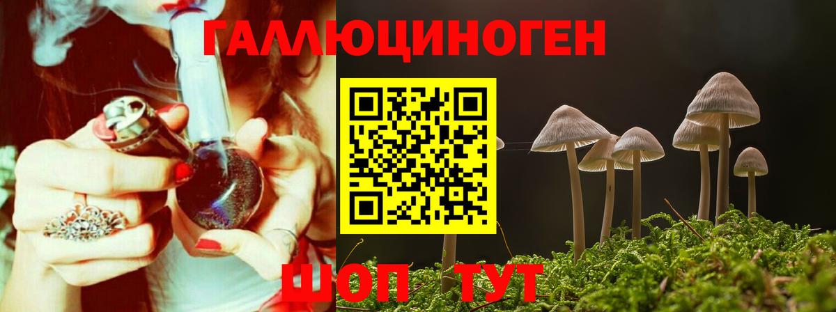 где купить наркоту  Галлюциногенные грибы ЛСД  Крымск  Вход с VPN  Галлюциногенные грибы MAGIC MUSHROOMS 