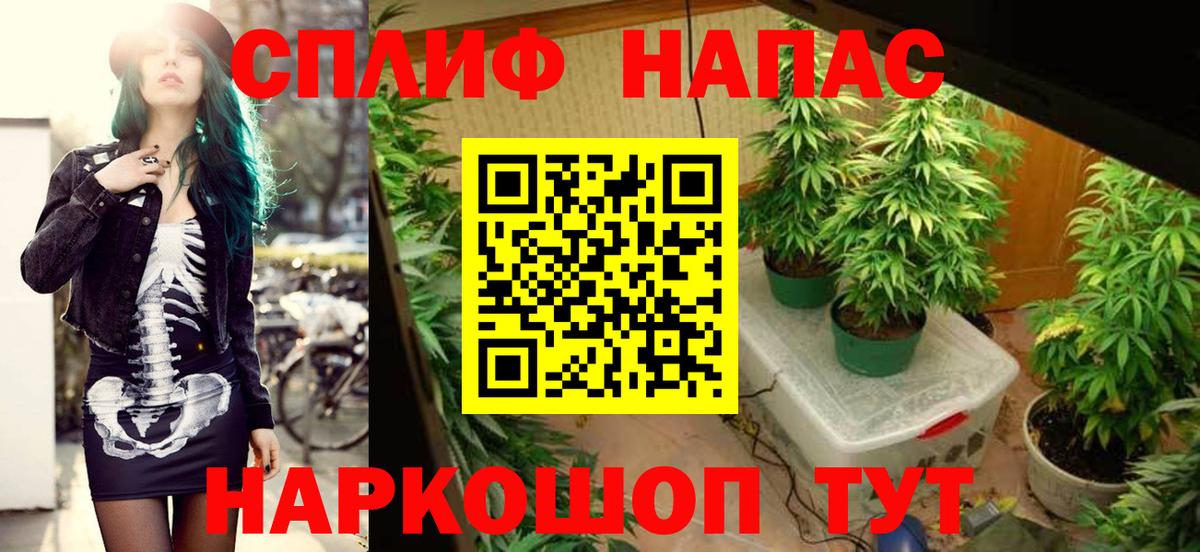 Шишки марихуана Bruce Banner Крымск